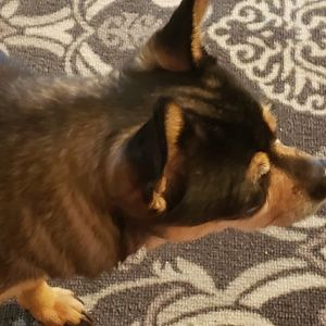 Meet your Posher, Jeff